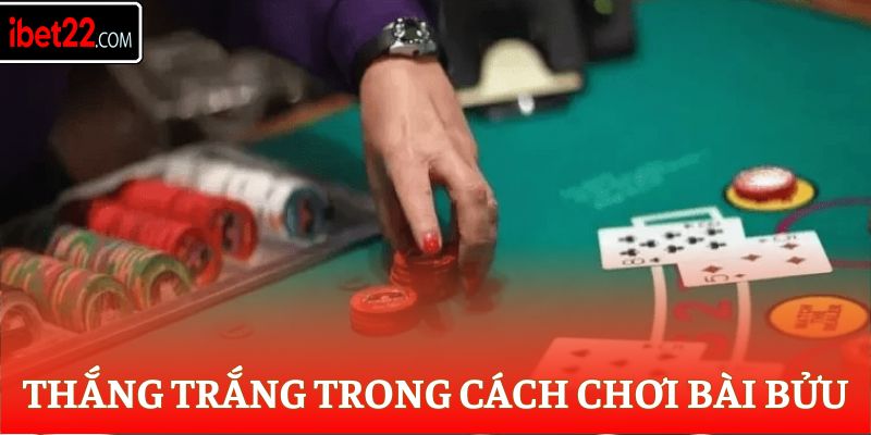 Thắng trắng trong cách chơi bài Bửu