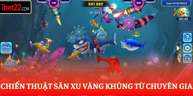 Chiến thuật săn xu vàng khủng từ chuyên gia