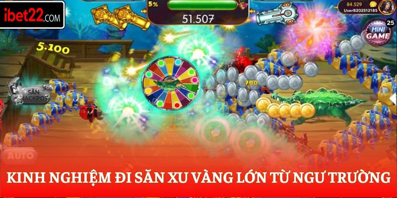 Kinh nghiệm đi săn xu vàng lớn từ ngư trường