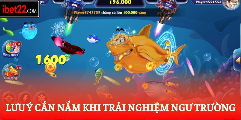 Lưu ý cần nắm khi trải nghiệm ngư trường
