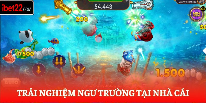 Trải nghiệm ngư trường tại nhà cái